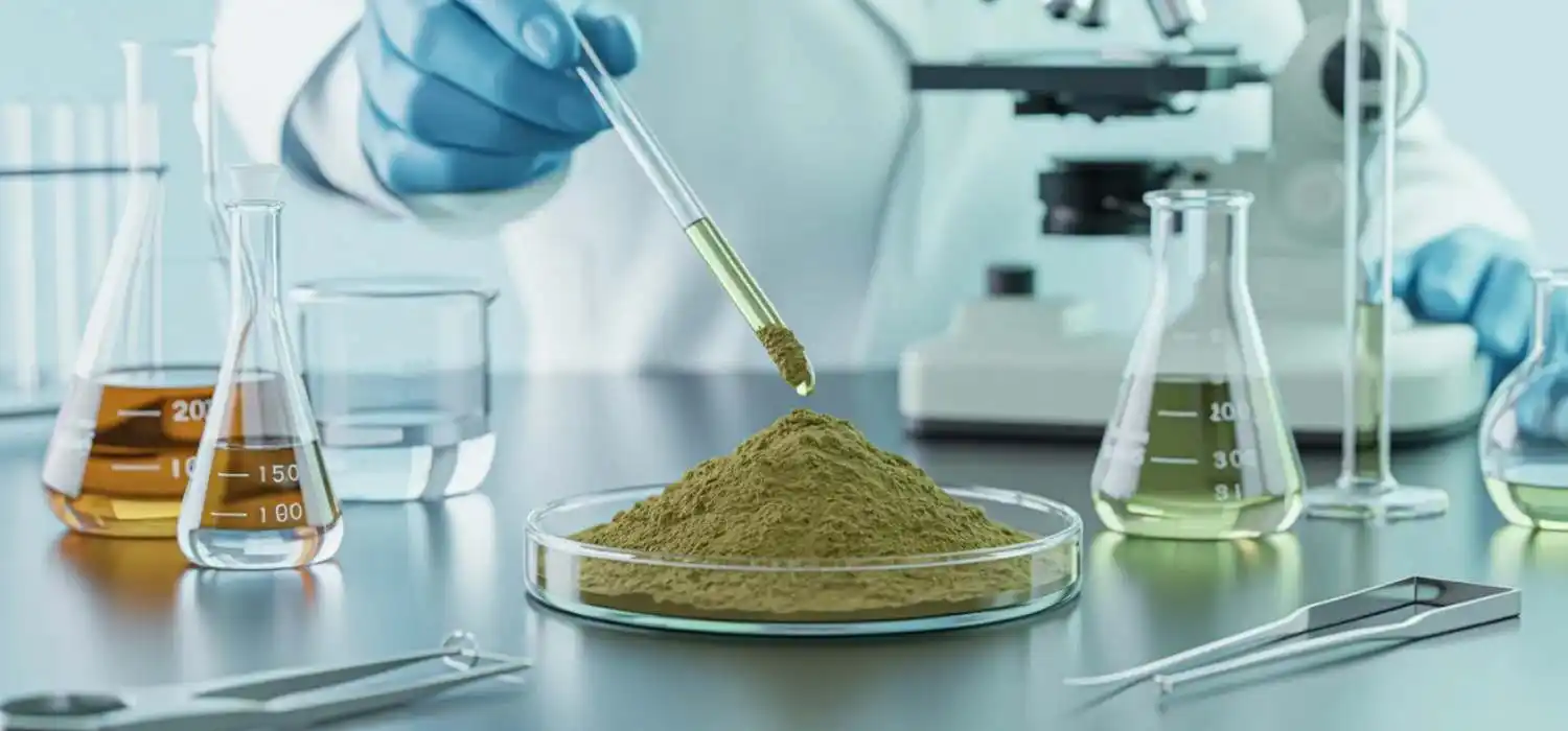 Kelp Extract Powder Formulation