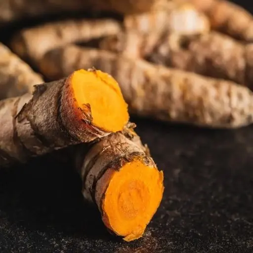 Fresh turmeric root, whole and sliced
