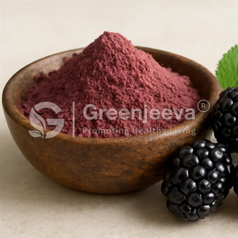 bulk wholesale premium Blackberry Extract Powder 10:1 bulk wholesale premium Blackberry Extract Powder 10:1