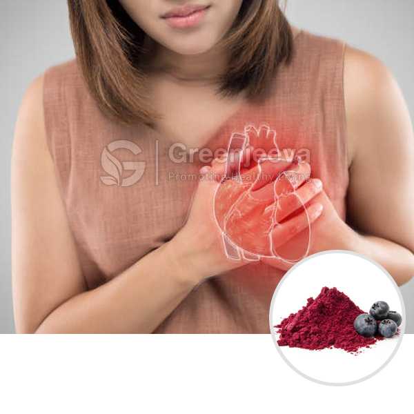 Blueberry Fruit Powder