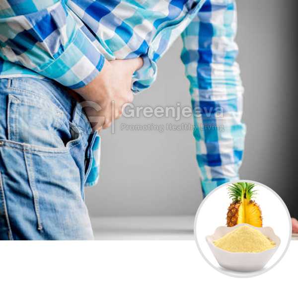Bromelain Powder 1200Gdu/G