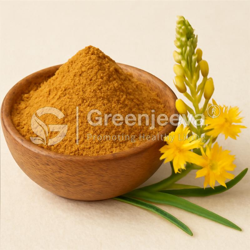 premium bulk supplier Bulbine Natalensis Extract Powder 10:1 premium bulk supplier Bulbine Natalensis Extract Powder 10:1