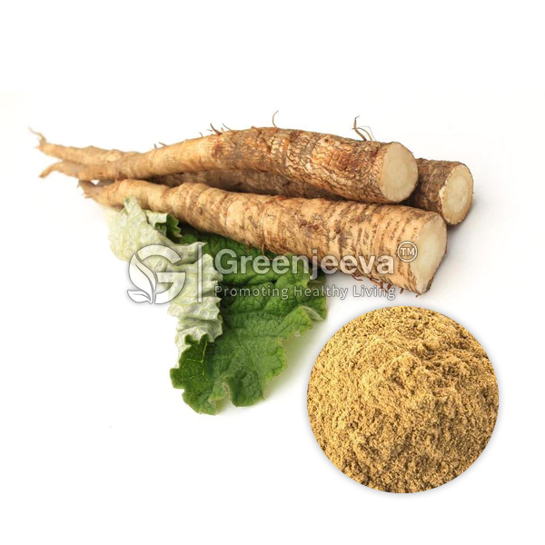 Burdock Root Extract Powder 4:1