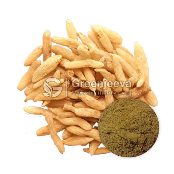 Organic Ophiopogon Root Extract Powder 4:1