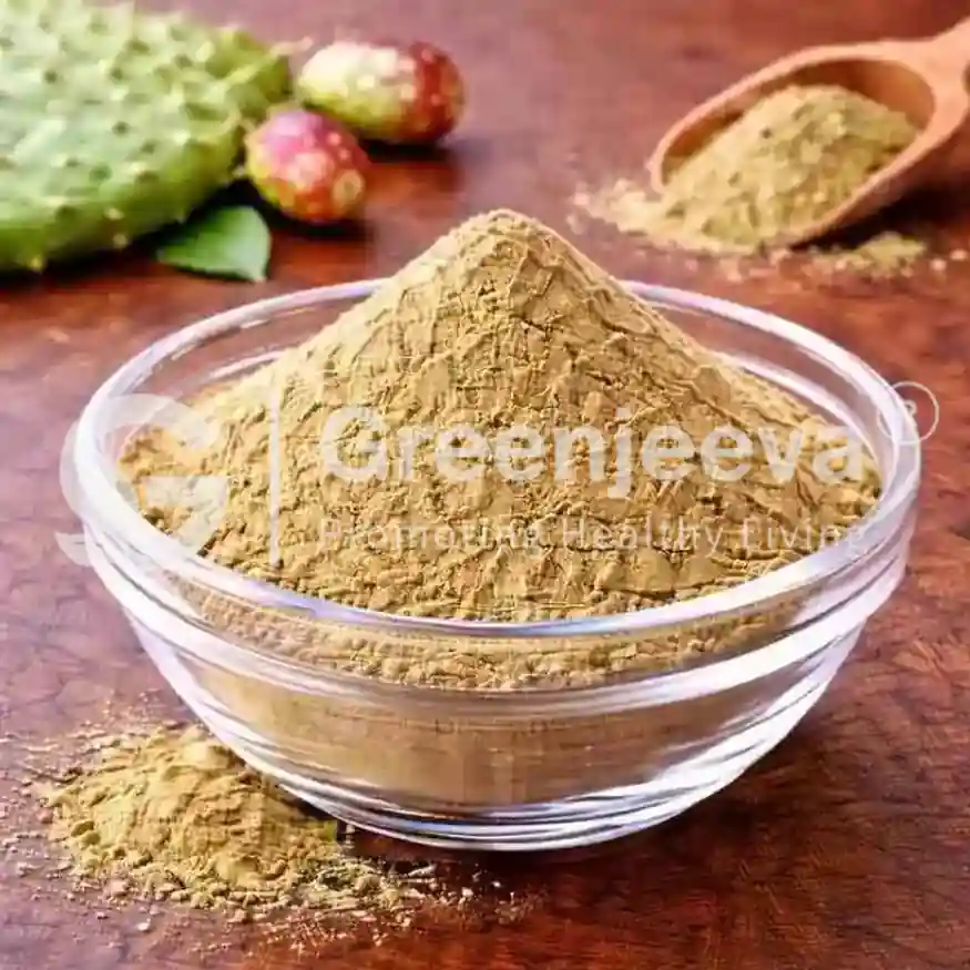 bulk wholesale premium Nopal Cactus Powder bulk wholesale premium Nopal Cactus Powder