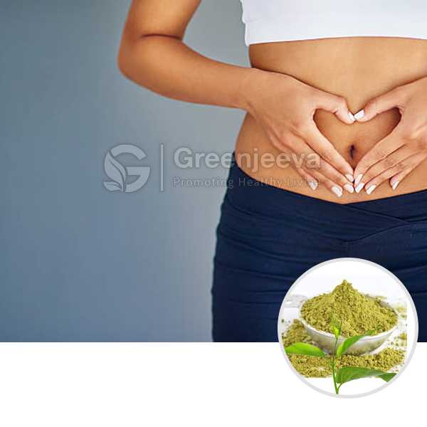 Gymnema Leaf Powder