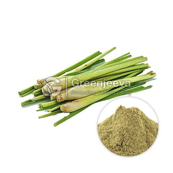 Lemon Grass Powder