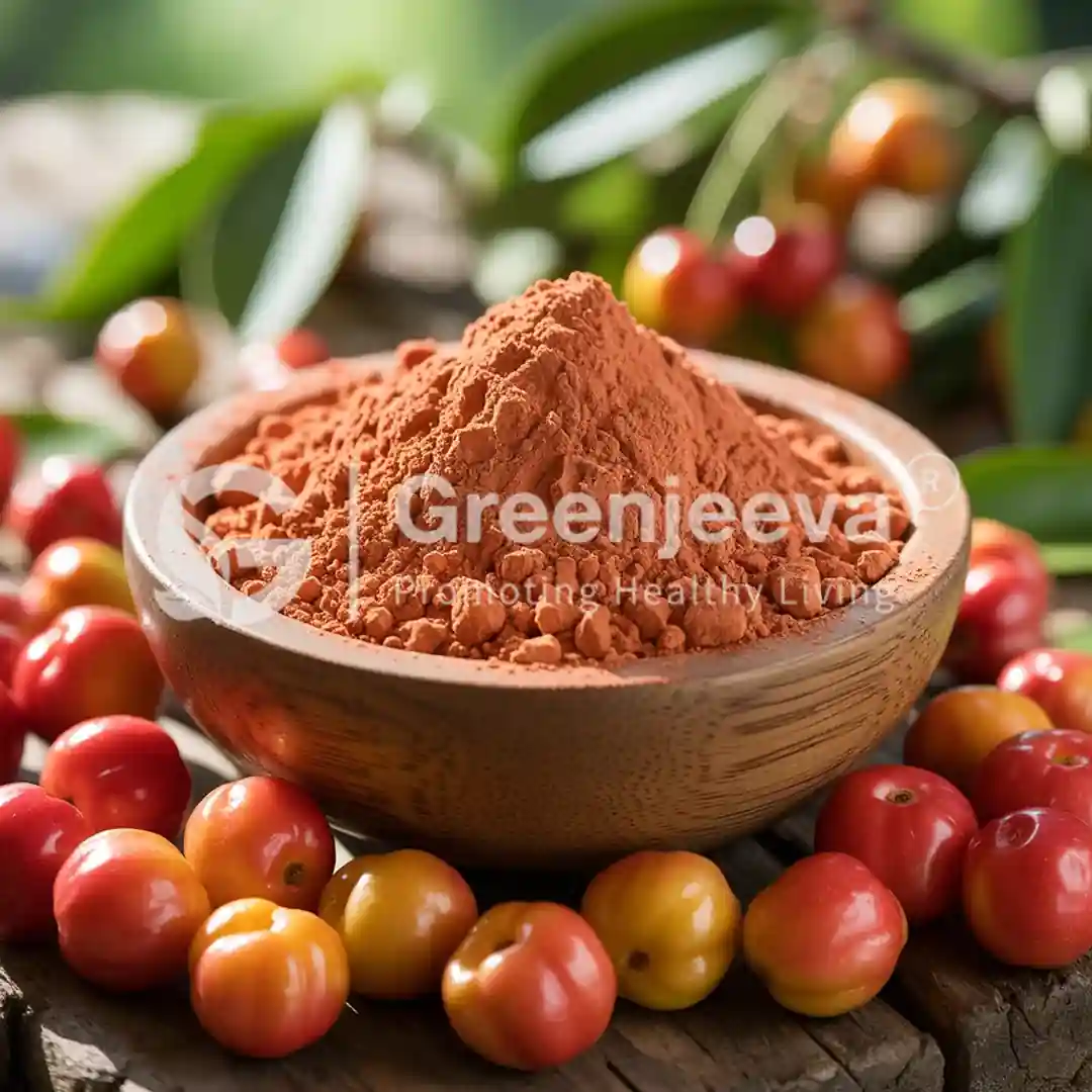certified organic bulk Organic Acerola Powder certified organic bulk Organic Acerola Powder