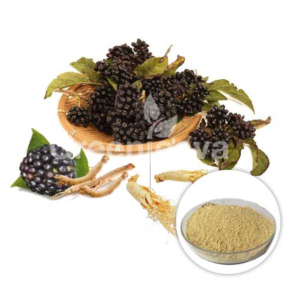 Siberian Ginseng Root Powder