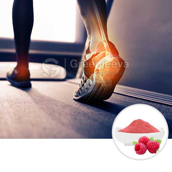 Organic Raspberry Powder