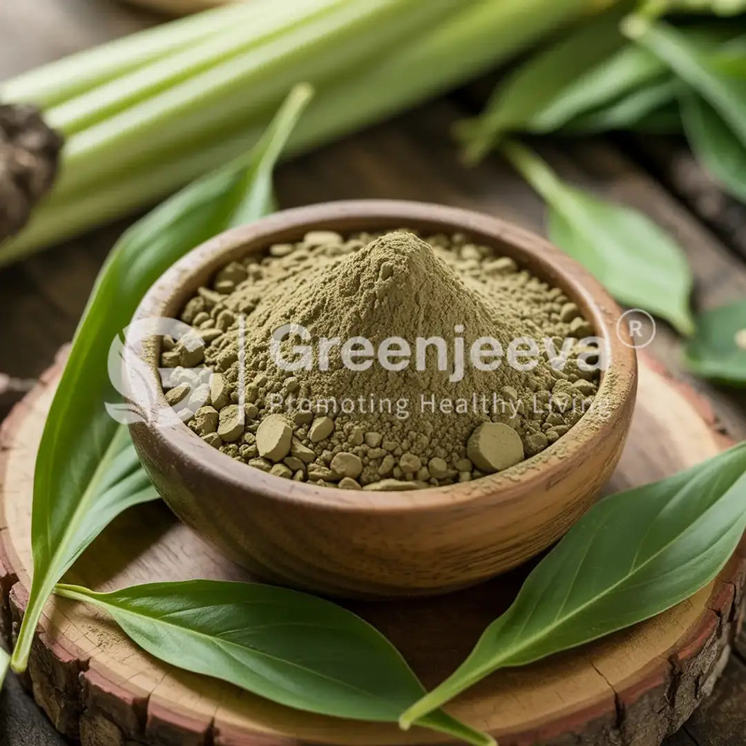 premium bulk supplier Plantain leaf powder premium bulk supplier Plantain leaf powder