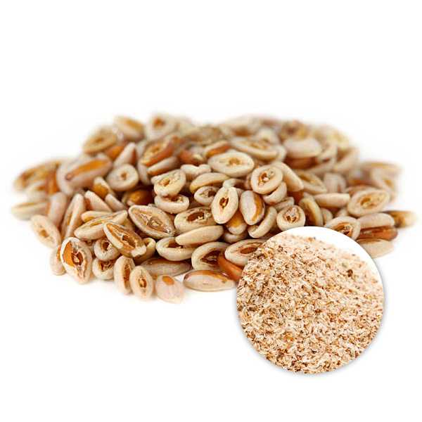 clean-label organic bulk Organic Psyllium Husk Powder