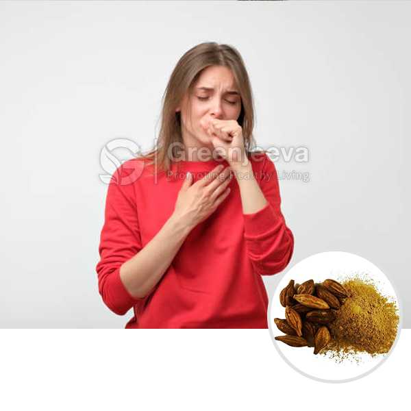 Organic Terminalia Chebula Powder