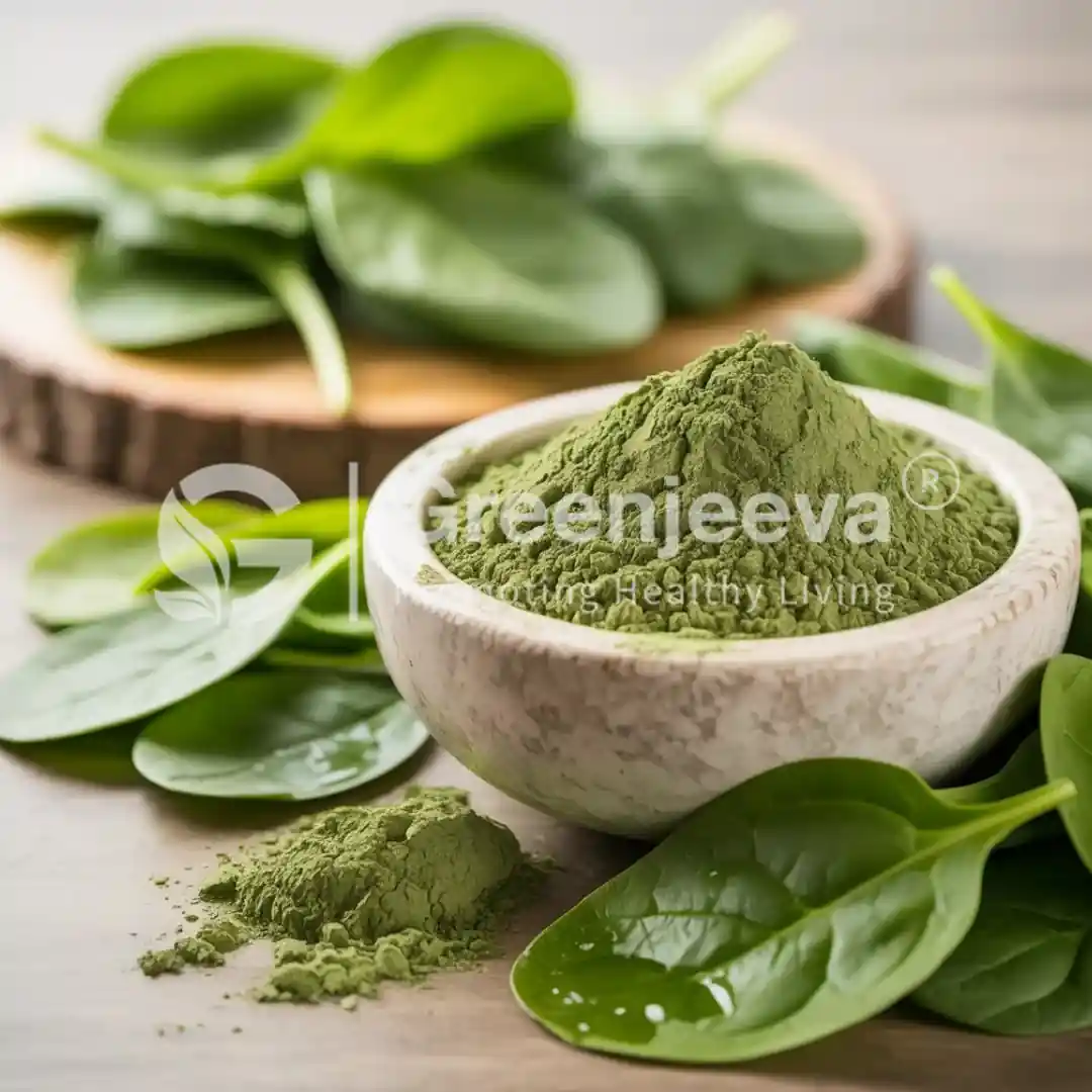 certified organic bulk Organic Spinach Leaf powder certified organic bulk Organic Spinach Leaf powder