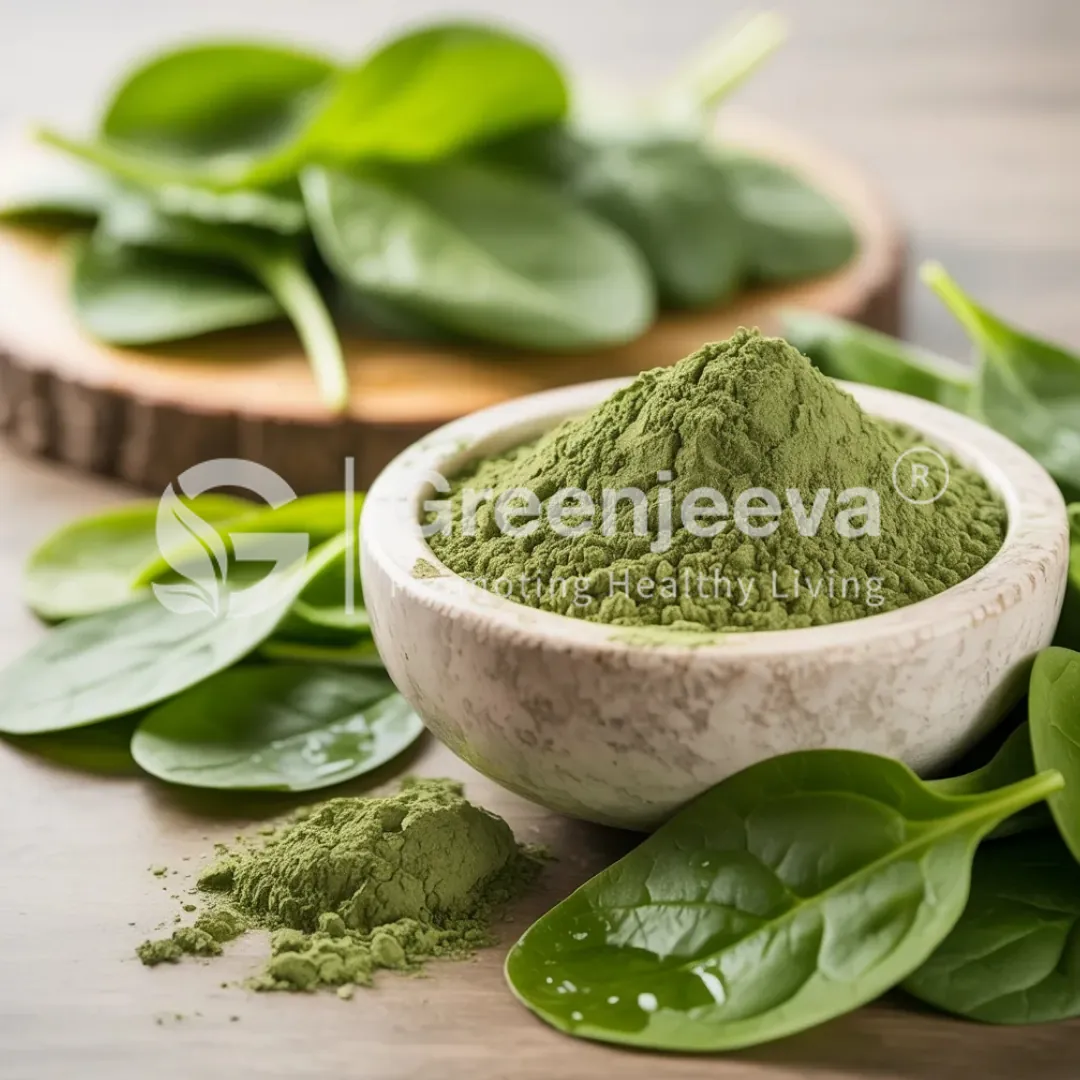 premium bulk supplier Organic Spinach Leaf powder premium bulk supplier Organic Spinach Leaf powder