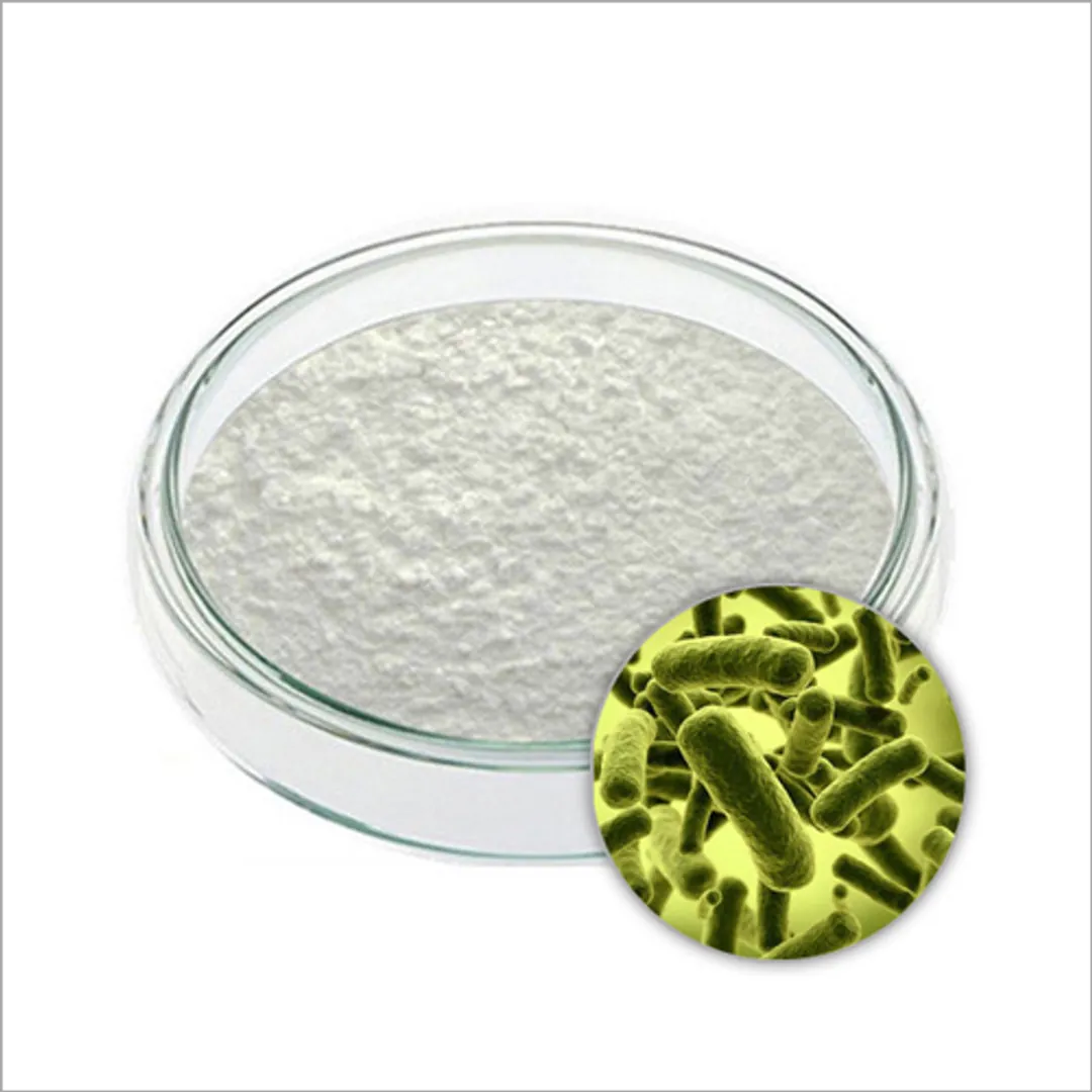 Lactobacillus acidophilus Powder 200 B cfu/g Lactobacillus acidophilus Powder 200 B cfu/g