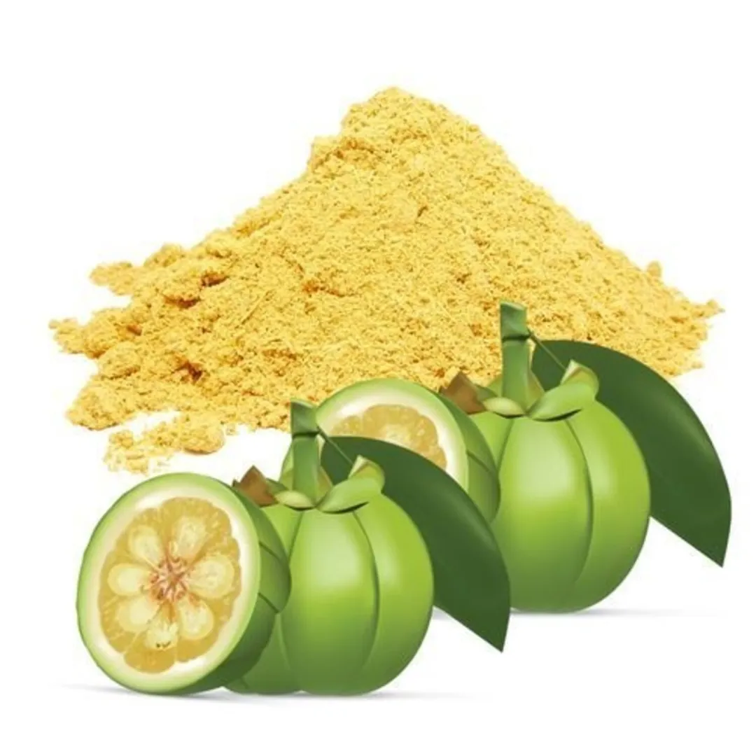 certified organic bulk Garcinia Extract Powder 60% HCA USP certified organic bulk Garcinia Extract Powder 60% HCA USP