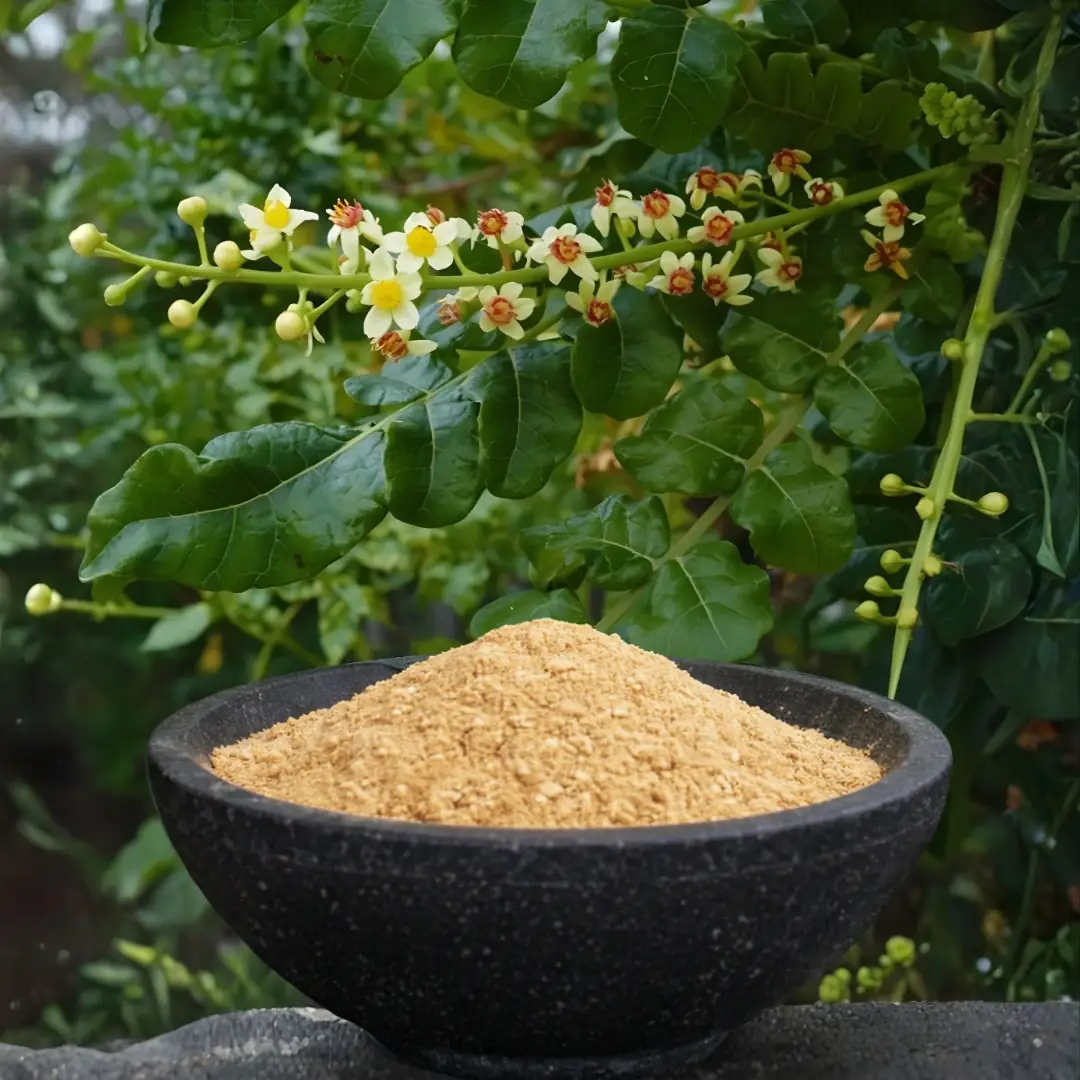 certified organic bulk Boswellia Extract Powder 65 % boswellic acid, Titrimetry certified organic bulk Boswellia Extract Powder 65 % boswellic acid, Titrimetry