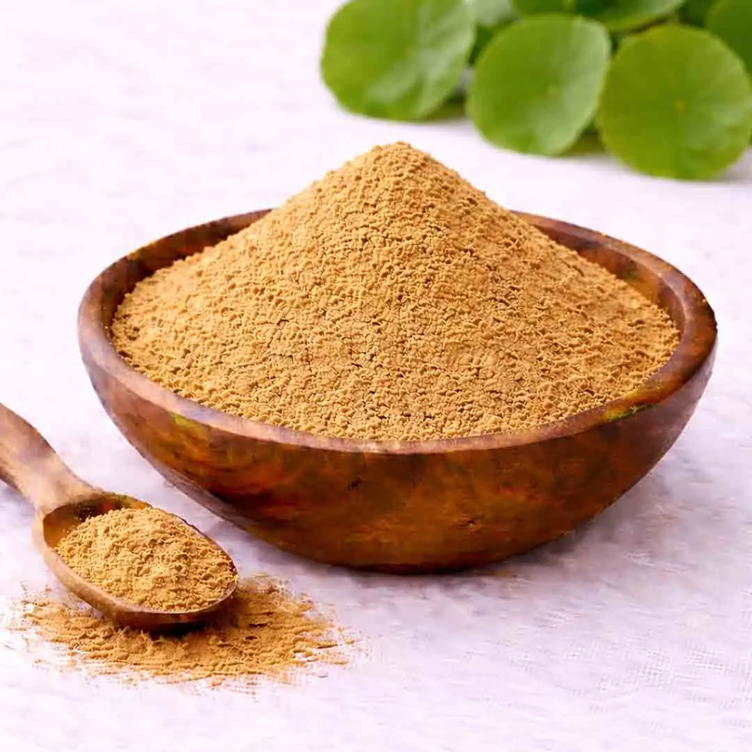 bulk wholesale premium Gotu Kola Powder