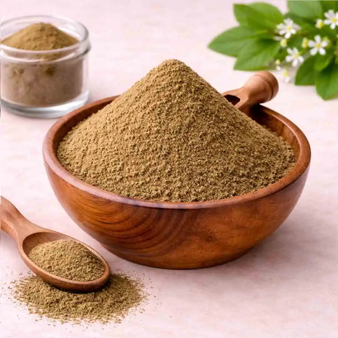 bulk wholesale premium Gymnema Sylvestre Extract Powder 75% Gymnemic Acid Gravimetry bulk wholesale premium Gymnema Sylvestre Extract Powder 75% Gymnemic Acid Gravimetry