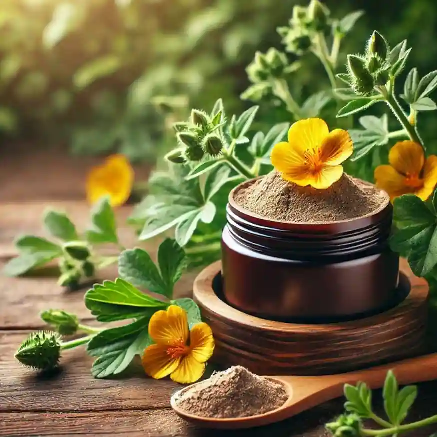 industrial grade bulk Tribulus Extract Powder 40% Saponin, Gravimetric industrial grade bulk Tribulus Extract Powder 40% Saponin, Gravimetric