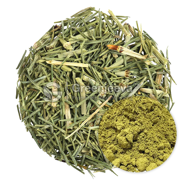 natural high quality organic Organic Horsetail Powder natural high quality organic Organic Horsetail Powder