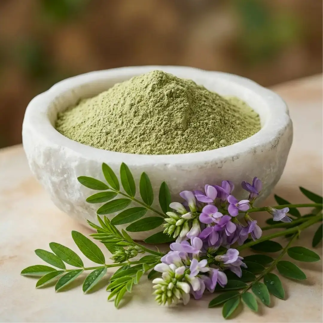 premium bulk supplier Organic Goat's Rue Herb Powder premium bulk supplier Organic Goat's Rue Herb Powder