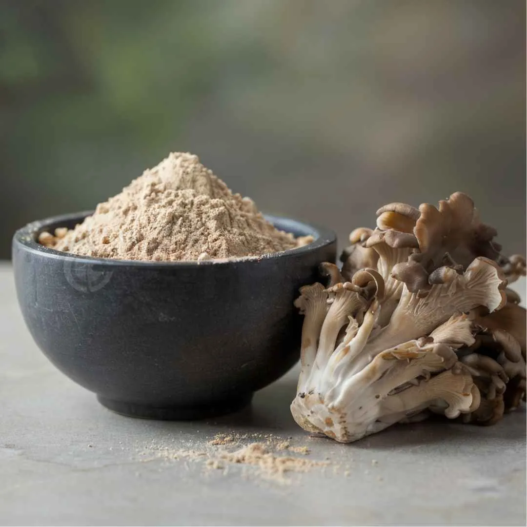 Maitake mushroom (Grifola frondosa extract powder 30% polysaccharide)