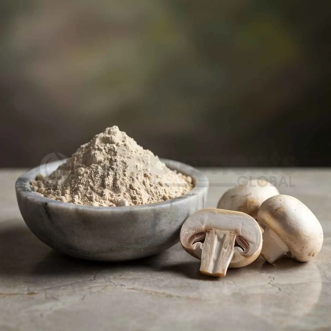 Agaricus Bisporus Exract Powder