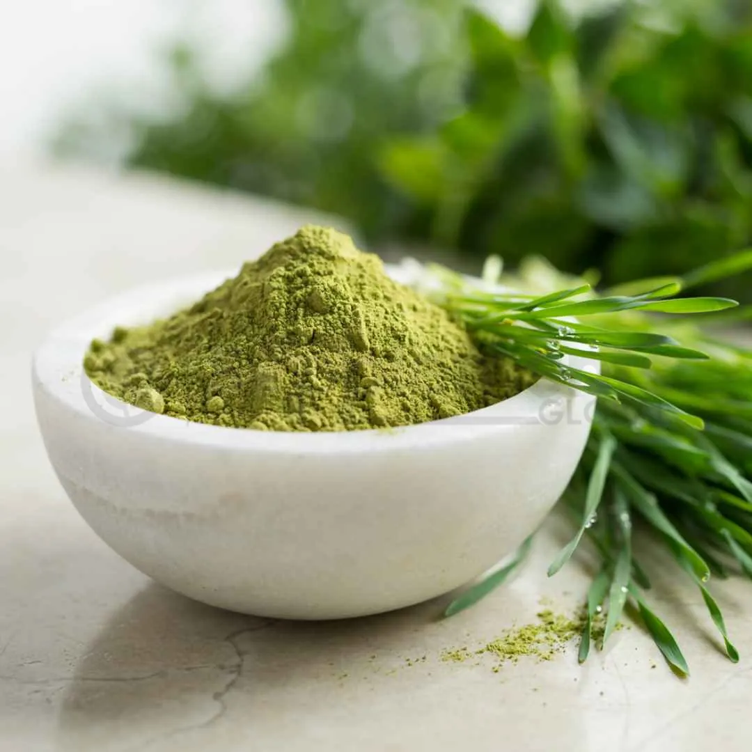 Organic Wheat Grass Juice Powder