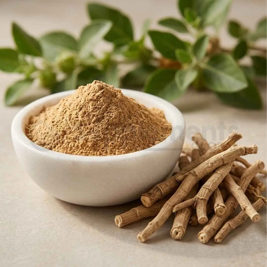Ashwagandha Extract Powder 2.5% Withanolide Gravimetry