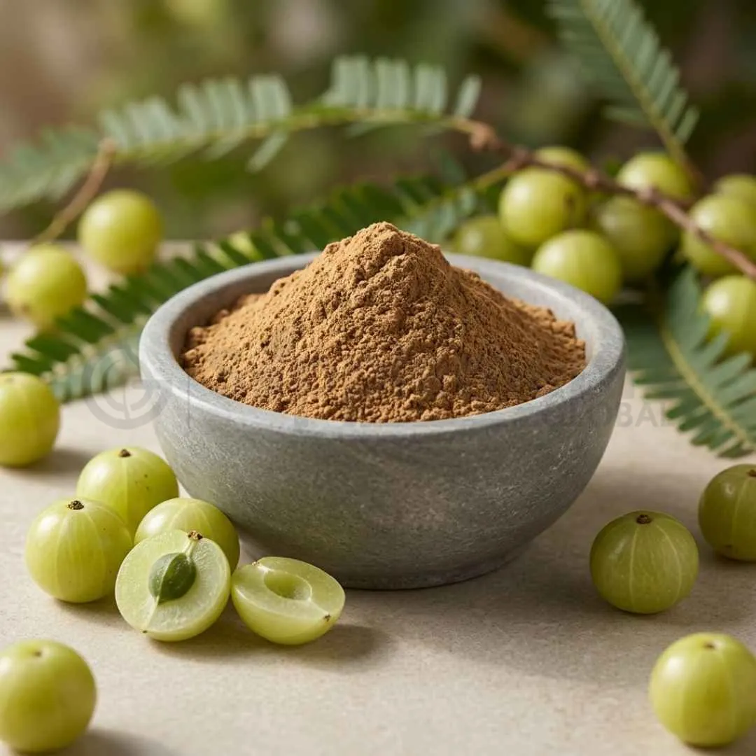 Organic Amla Fruit Extract Powder 50% Vitamin C