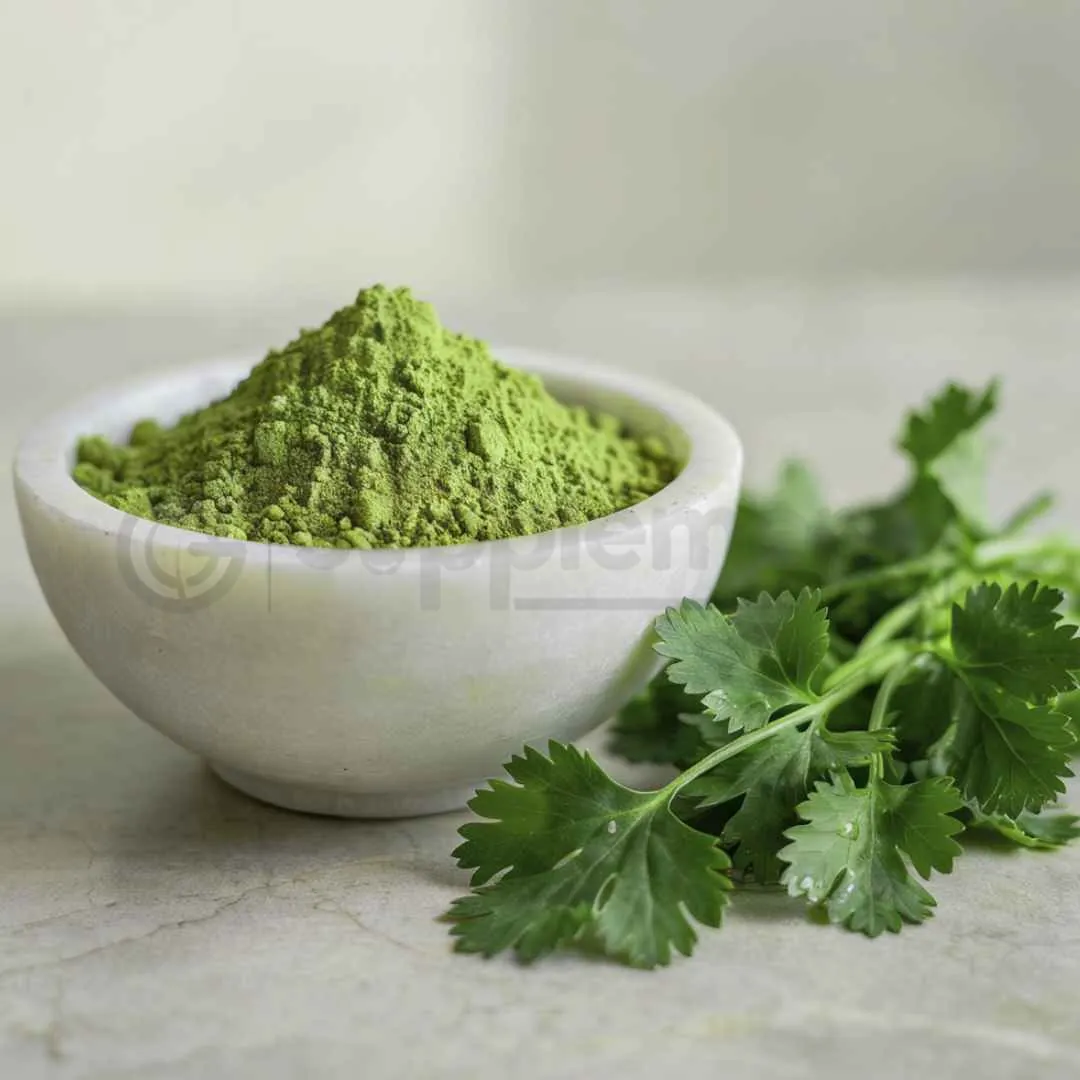 Organic Cilantro Leaves C/s
